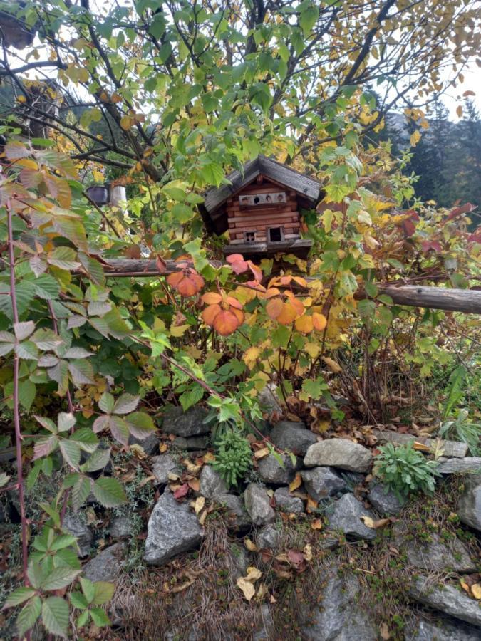 Appartement Haus Breitfuss Enzenstall